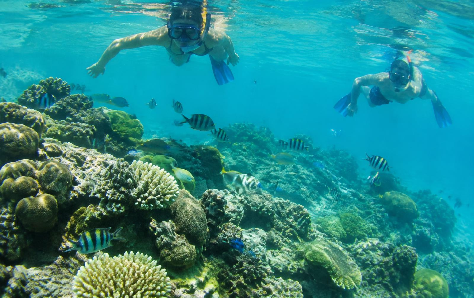Snorkelling in the marine reserve