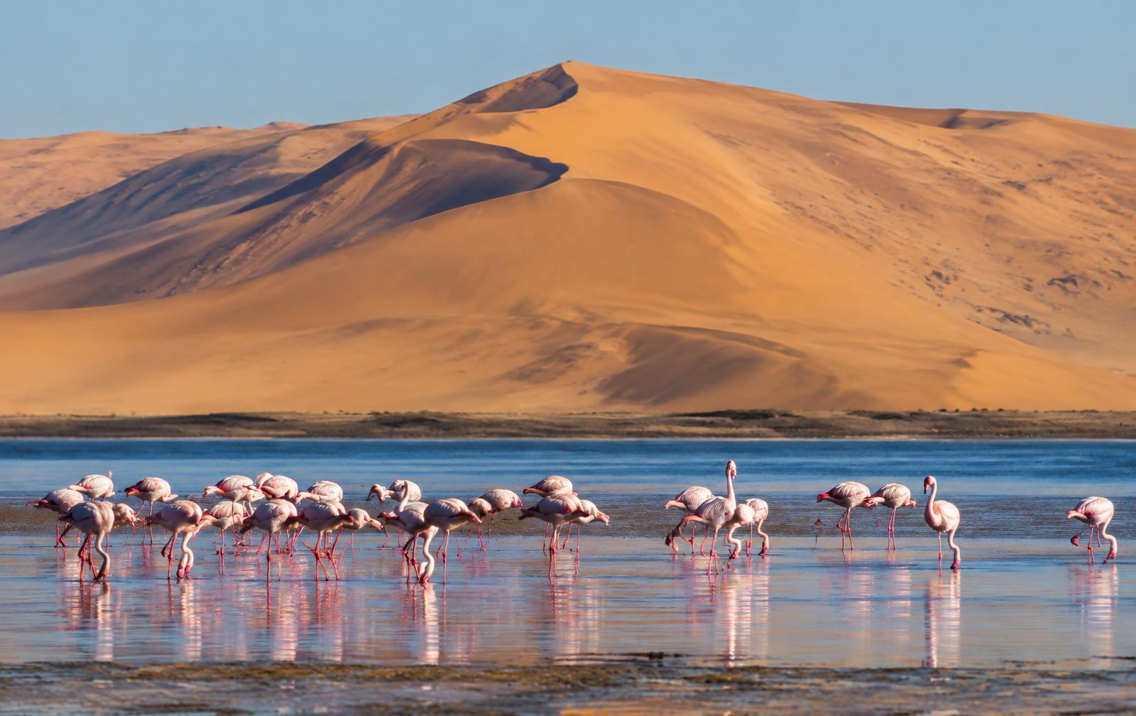 Walvis Bay (Namibia)